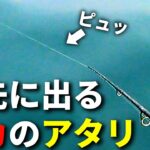 イカのアタリが竿に出る瞬間！最近使っている超繊細なエギングロッドの使用感をお話します。