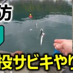 【釣り方_初心者】遠投サビキのやり方