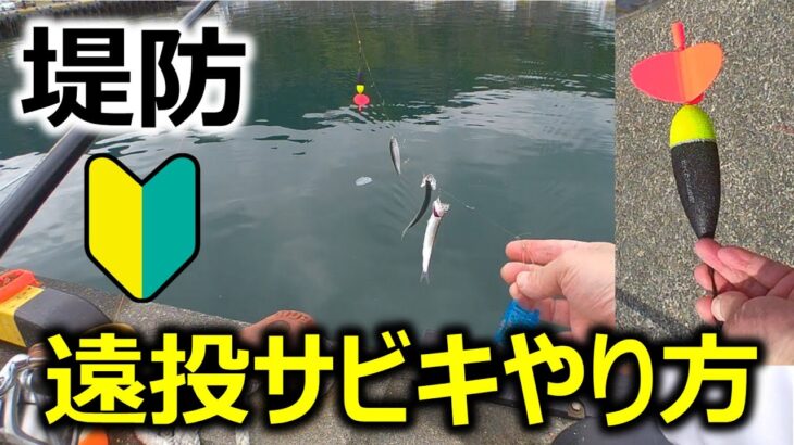 【釣り方_初心者】遠投サビキのやり方