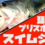 プリスポーン攻略のスイムジグ【琵琶湖バス釣り】