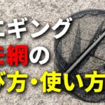 春イカエギングに最適なタモの選び方と使い方のコツを解説します！