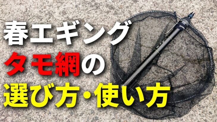 春イカエギングに最適なタモの選び方と使い方のコツを解説します！