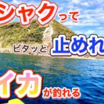 爆釣~キロアップの春イカ混じるティップランエギング！