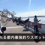 【若洲海浜公園】初心者でも爆釣れする東京の超人気釣りおススメスポットはここ！