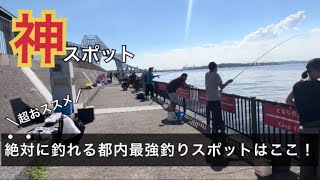 【若洲海浜公園】初心者でも爆釣れする東京の超人気釣りおススメスポットはここ！