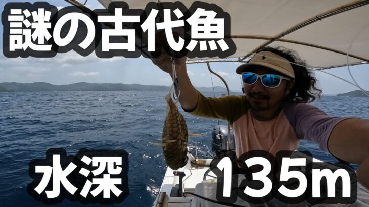 【スロージギング】自給自足のおかず釣って料理して食う【奄美大島】