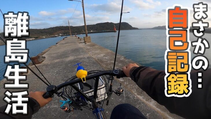 いやいやイキナリデカすぎでしょ…【離島生活】