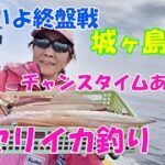 いよいよ終盤戦！城ヶ島西沖のヤリイカ釣り。チャンスタイムにヤリイカをゲットしよう！【ヤリイカ釣り】【落とし込み釣法】【中層反応】【ブランコ仕掛け】