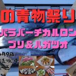 ジギング春のブリ祭り！ジグパラバーチカルロングでブリ＆ハガツオ大爆釣！