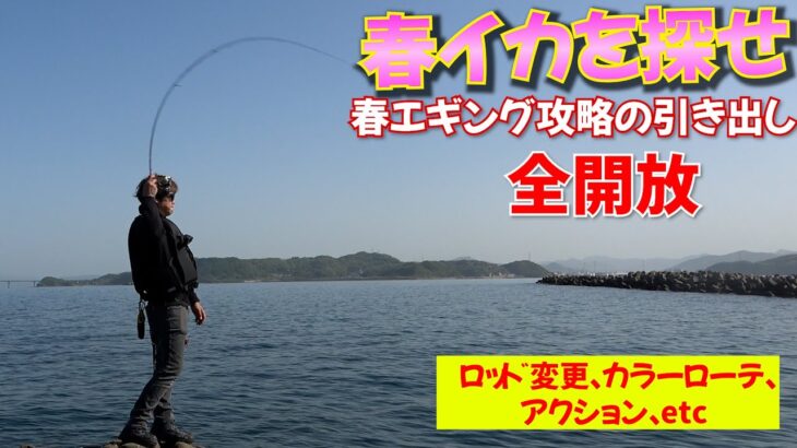 春イカ磯エギング！プロ二人が釣る為にやるべきことを全てやりつくすと…