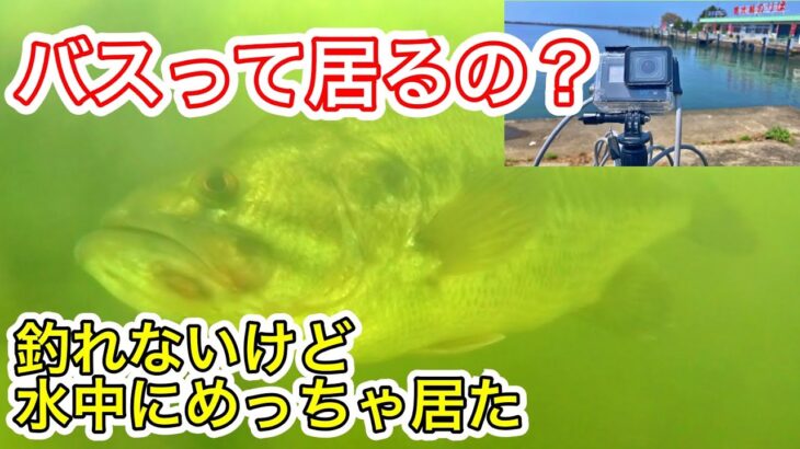 【バス釣り】釣れないので、カメラを琵琶湖に突っ込んでバスが居るのか探してみた【水中映像】