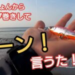 サーフで【ヘビーショット】投げた。