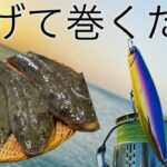 【サーフ釣り】投げて巻くだけで・・