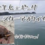 【島根半島】春の巨大アオリイカをついに仕留めた！【エギング】#アオリイカ　#島根半島