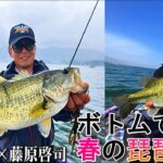 フリーリグ炸裂！ボトムで釣る春の琵琶湖