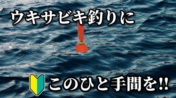 【横浜 釣り】楽しいサビキ釣り！浮きサビキはこのひと手間で釣果が変わります!!