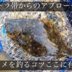 【ヒラメ釣り】本当は教えたくない…良く釣れる天候の条件！ハウル編〜