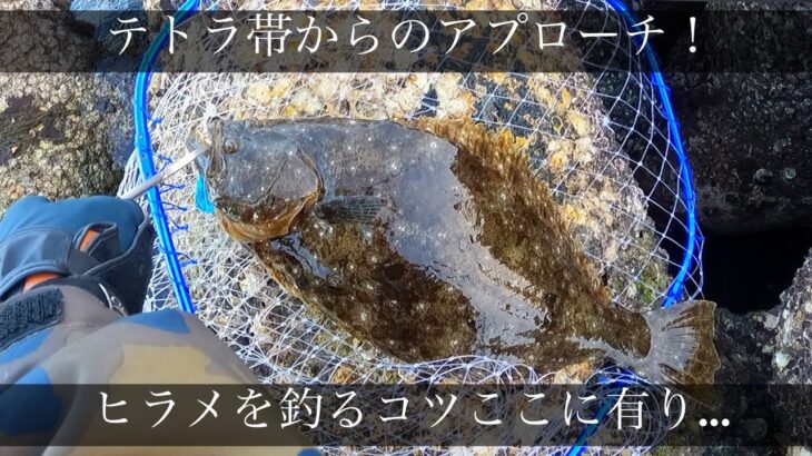 【ヒラメ釣り】本当は教えたくない…良く釣れる天候の条件！ハウル編〜