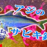 【釣ろうぜギガアジ】夜のハイテンション飲酒サビキ【福井遠征】