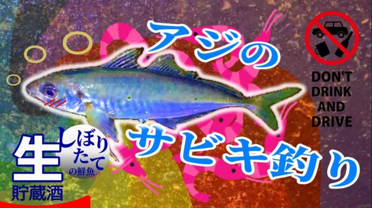 【釣ろうぜギガアジ】夜のハイテンション飲酒サビキ【福井遠征】