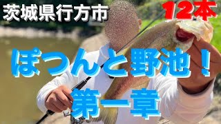 【茨城バス釣り】ぽつんと野池第一章！行方市の池でブラックバス釣れるか調査！【ブラックバス】