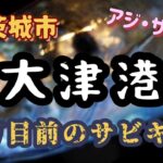 ゴールデンウィーク前の大津港でサビキ釣り