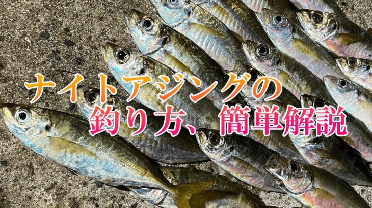 ナイトアジングで重要なことを釣りながら解説します！