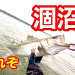 【シーバス釣行】陰キャが本気で涸沼で釣りをしたらこーなる！！後編