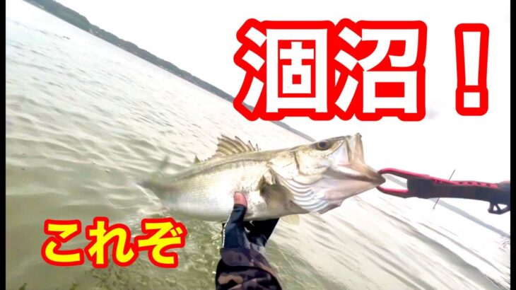 【シーバス釣行】陰キャが本気で涸沼で釣りをしたらこーなる！！後編