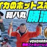 【勝浦沖のヤリイカ釣り】ヤリイカ釣りのホットスポット勝浦沖のヤリイカ今回は和八丸さんです