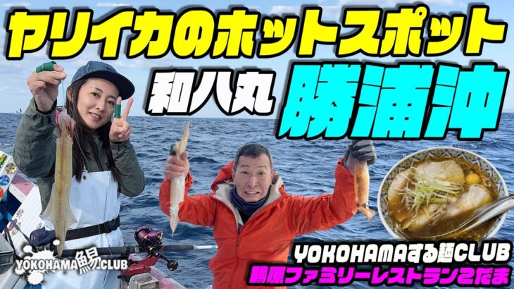 【勝浦沖のヤリイカ釣り】ヤリイカ釣りのホットスポット勝浦沖のヤリイカ今回は和八丸さんです