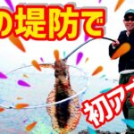 【アオリイカ】春の内房で初めてのエギングに挑戦！