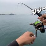 【エギング】川のように流れる海でキロアップを釣り上げた！