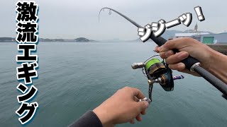 【エギング】川のように流れる海でキロアップを釣り上げた！