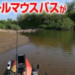 スモールマウスバスが棲む島【利根川バス釣りカヤック】