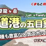 【上天草龍ヶ岳の大道港の釣り】ファミリーフィッシングにおススメの堤防で色んな釣り方で五目釣り！予定外の魚がサビキ釣りで爆釣！