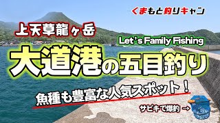 【上天草龍ヶ岳の大道港の釣り】ファミリーフィッシングにおススメの堤防で色んな釣り方で五目釣り！予定外の魚がサビキ釣りで爆釣！