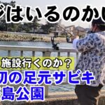 【釣果速報】横浜金沢八景サビキ釣り！そろそろいるかな？ マジでミラクル起きた  野島公園アジ