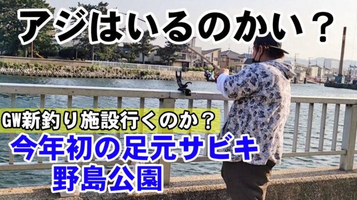 【釣果速報】横浜金沢八景サビキ釣り！そろそろいるかな？ マジでミラクル起きた  野島公園アジ