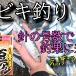 【釣り】サビキ釣りでアジとイワシ　針の大きさは？