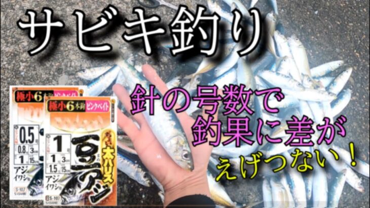 【釣り】サビキ釣りでアジとイワシ　針の大きさは？