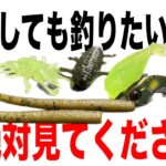 絶対にボウズだけは避けたい方は必ず見てください。投げれば釣れるやつ教えます。