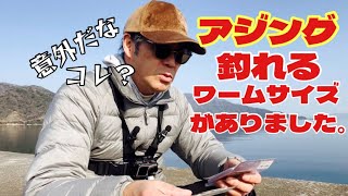 【アジング】釣れるワームサイズがありました。