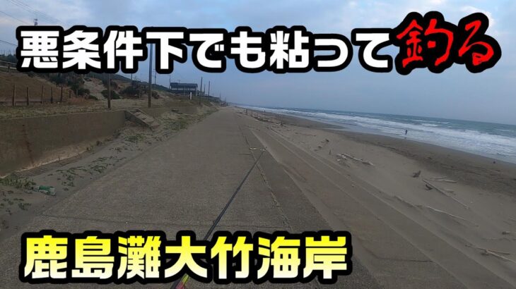 【茨城県鹿島灘】強風、全面白波、曇り、濁り、潮の流れが早い、それでも釣る大竹海岸釣査