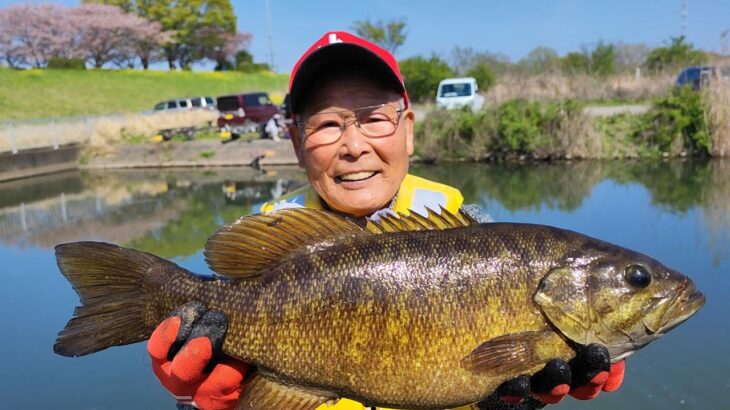 小貝川でブラックバス釣り②大物編