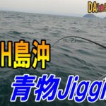 ＤＡＳＨ島（由利島）沖　ライトジギング