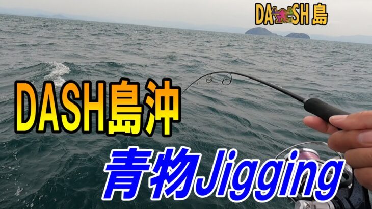 ＤＡＳＨ島（由利島）沖　ライトジギング