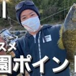 【バス釣りポイント】最高なポイントは今が春爆！オススメバス釣りポイント思川！【栃木バス釣りポイント】