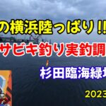 【必見】サビキ釣り!!春の東京湾陸っぱり。実釣動画!!横浜の釣り場、杉田臨海緑地のリアルな状況です‼