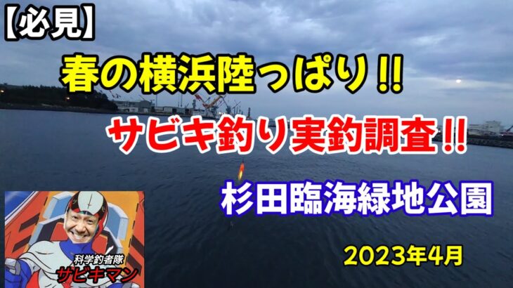 【必見】サビキ釣り!!春の東京湾陸っぱり。実釣動画!!横浜の釣り場、杉田臨海緑地のリアルな状況です‼